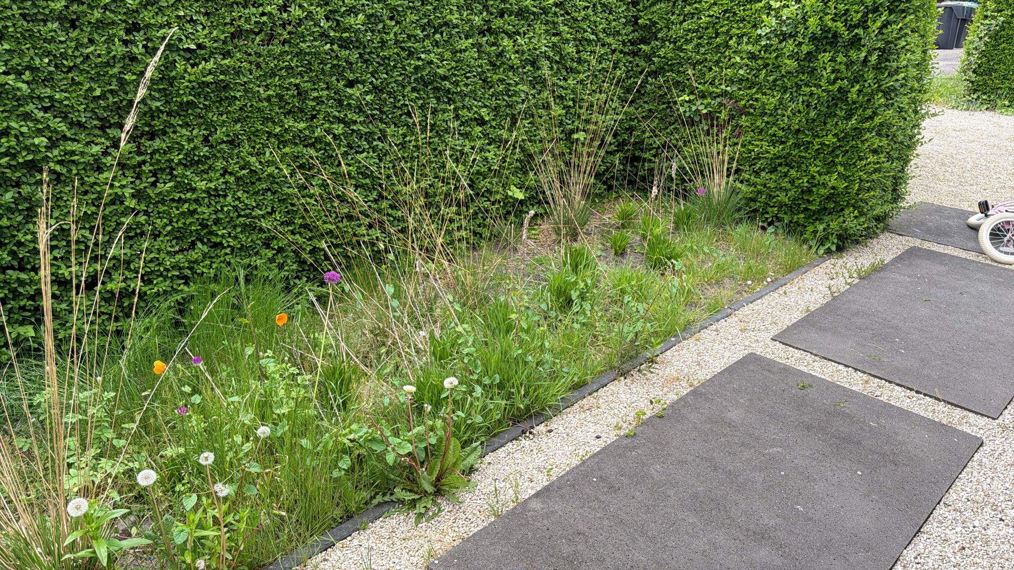 Onkruidvrij maken van borders en plantenvakken