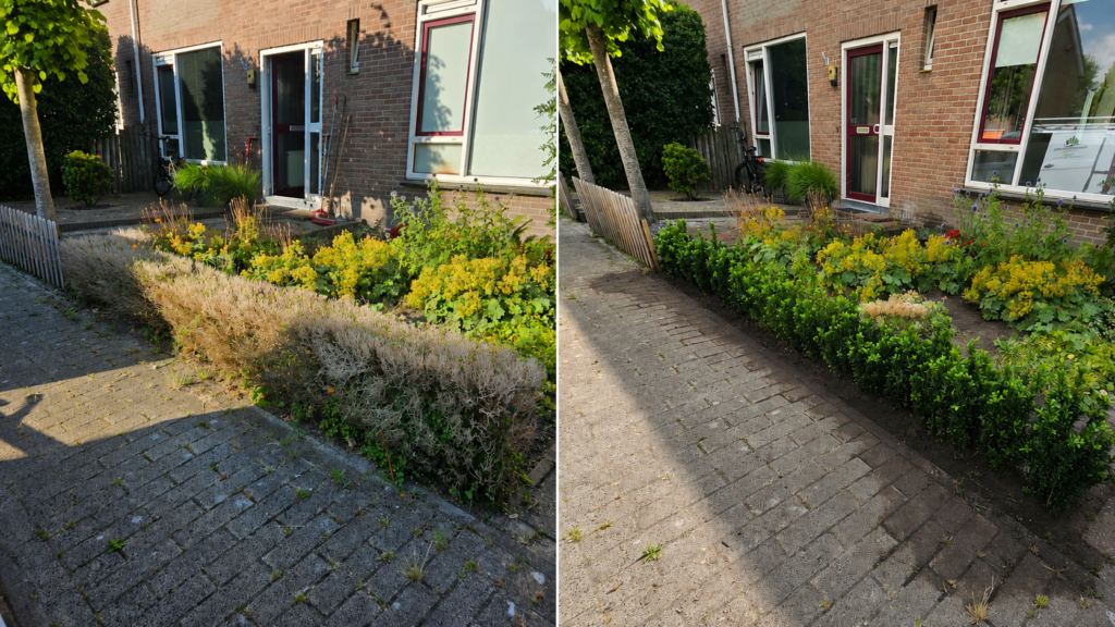 Voortuin voor en na verwijderen van oude beplanting en aanplanten van nieuwe beplanting