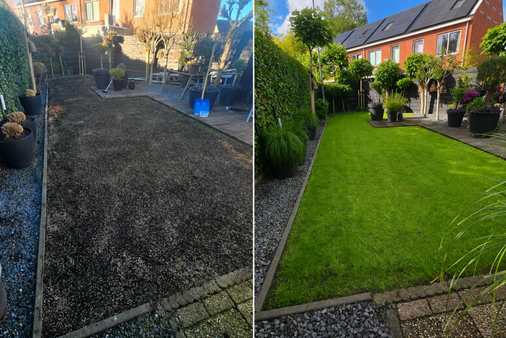Gazon voor en na gazononderhoud door Tuinonderhoud Grou