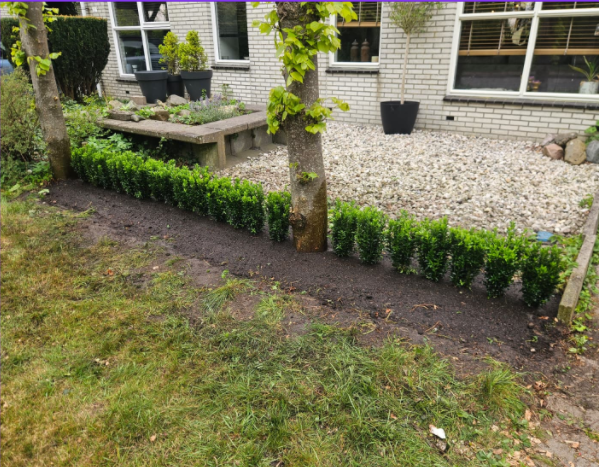 Nieuwe haag aangeplant in een voortuin