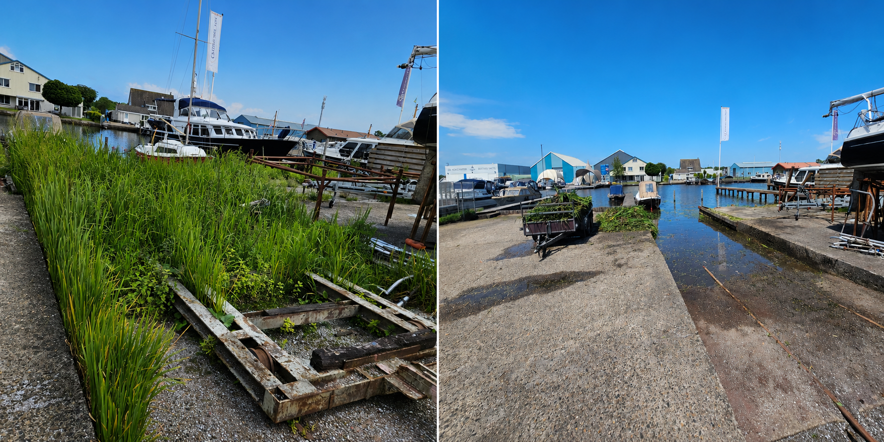 Haventerrein voor en na verwijderen van begroeiing